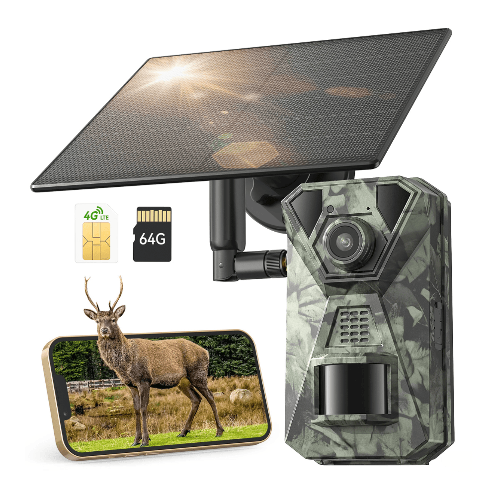 Caméra de Chasse Solaire 4G Connectée