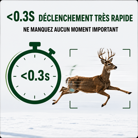 Caméra de Chasse Solaire 50MP 4K avec Vision Nocturne