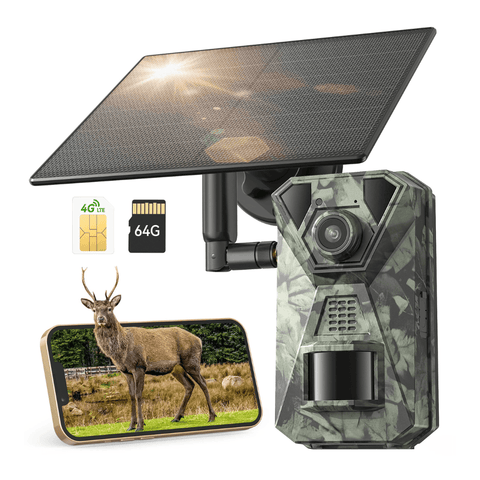 Caméra de Chasse Solaire 4G Connectée