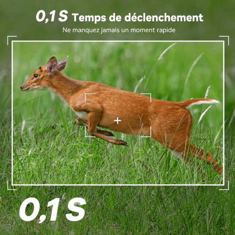 Caméra de Chasse Solaire 4G Connectée