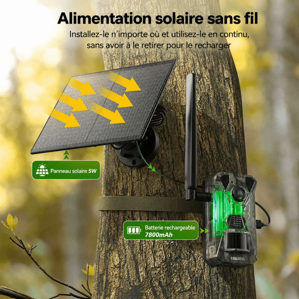 Caméra de Chasse Solaire 4G Connectée