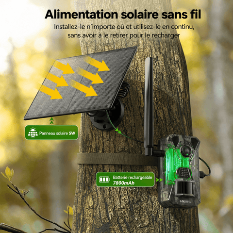 Caméra de Chasse Solaire 4G Connectée