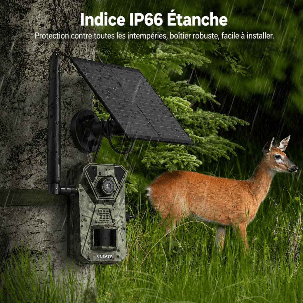 Caméra de Chasse Connectée 4G avec Panneau Solaire