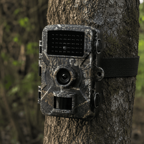 Caméra de Chasse Infrarouge HD avec Vision Nocturne
