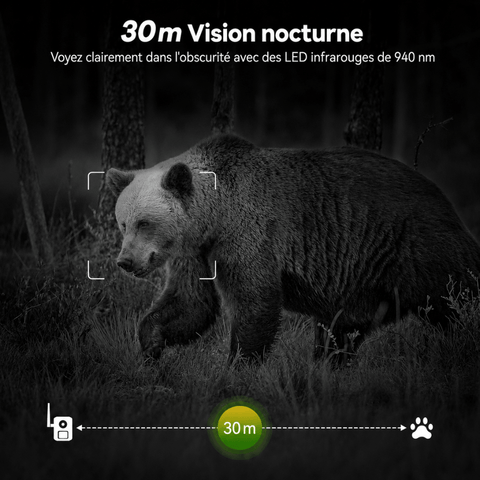 Caméra de Chasse Solaire 4G Connectée