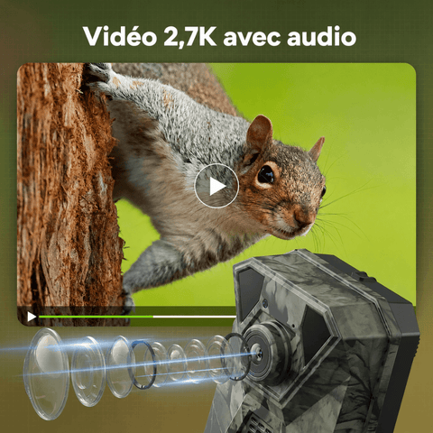Caméra de Chasse Solaire 4G Connectée