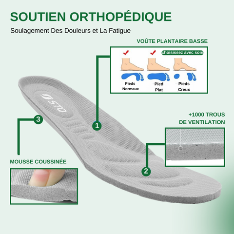 Chaussure Marche Confortable & Légère Pour Femme
