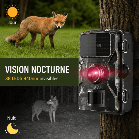 Caméra de Chasse Infrarouge HD avec Vision Nocturne