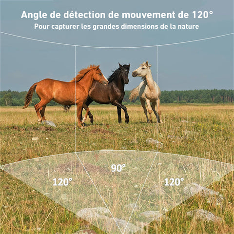 Piège Photographique avec Angle de détection 120 degreés