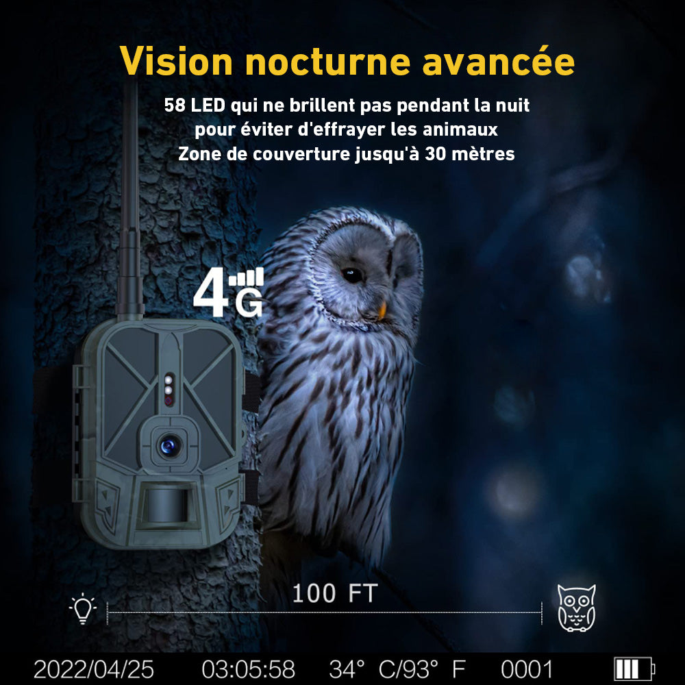 Caméra de Chasse Vision nocturne Avancée