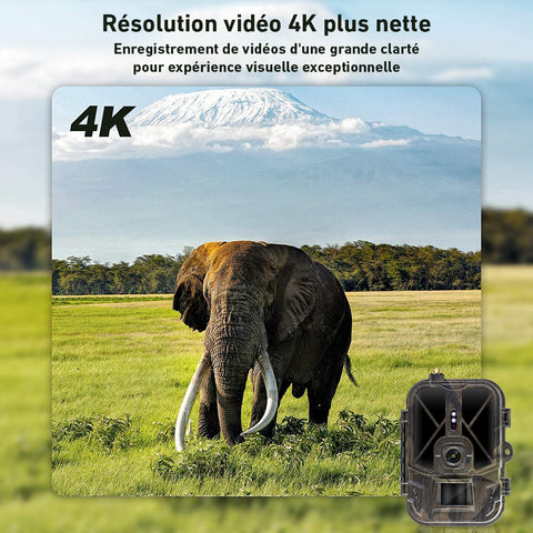 Caméra de Chasse avec résolution 4K