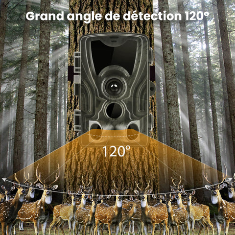 Angle de détetion du Caméra de chasse avec écran