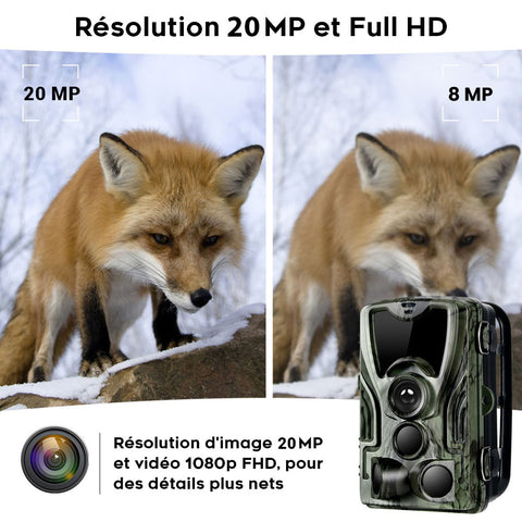 Résolution du Caméra de Chasse 4G